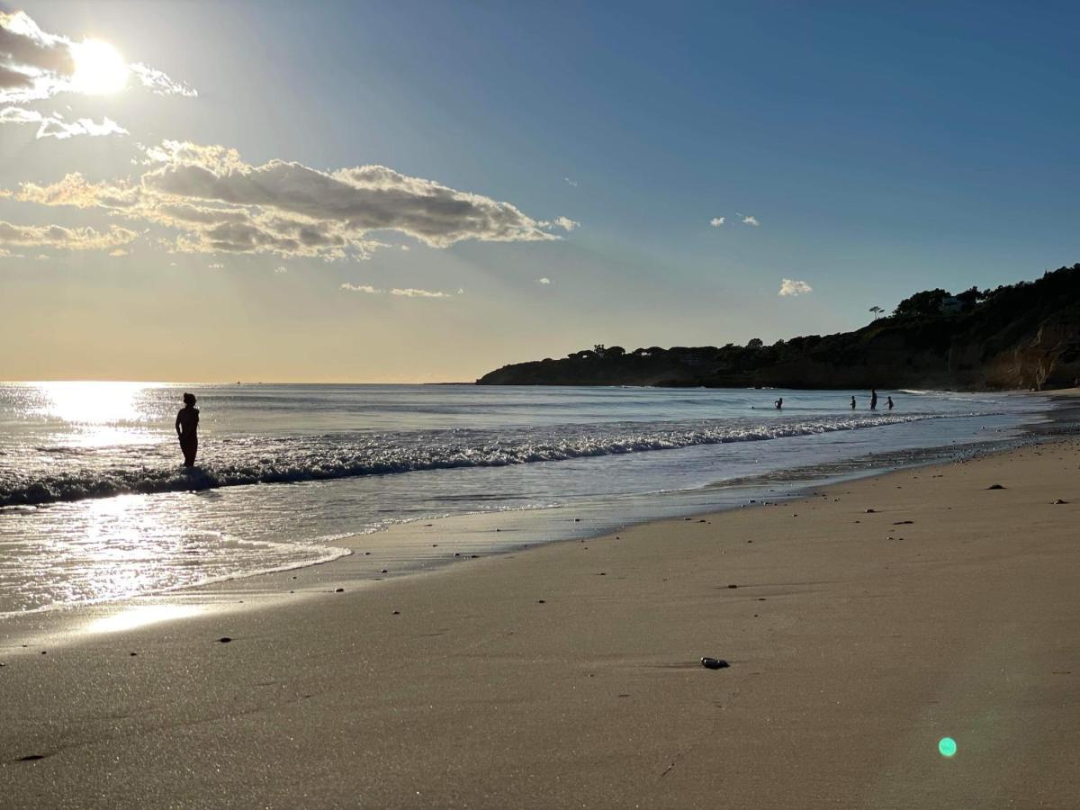 Charmant Appartement A 1Km De La Plage, Avec Piscine A Albufeira Eksteriør billede