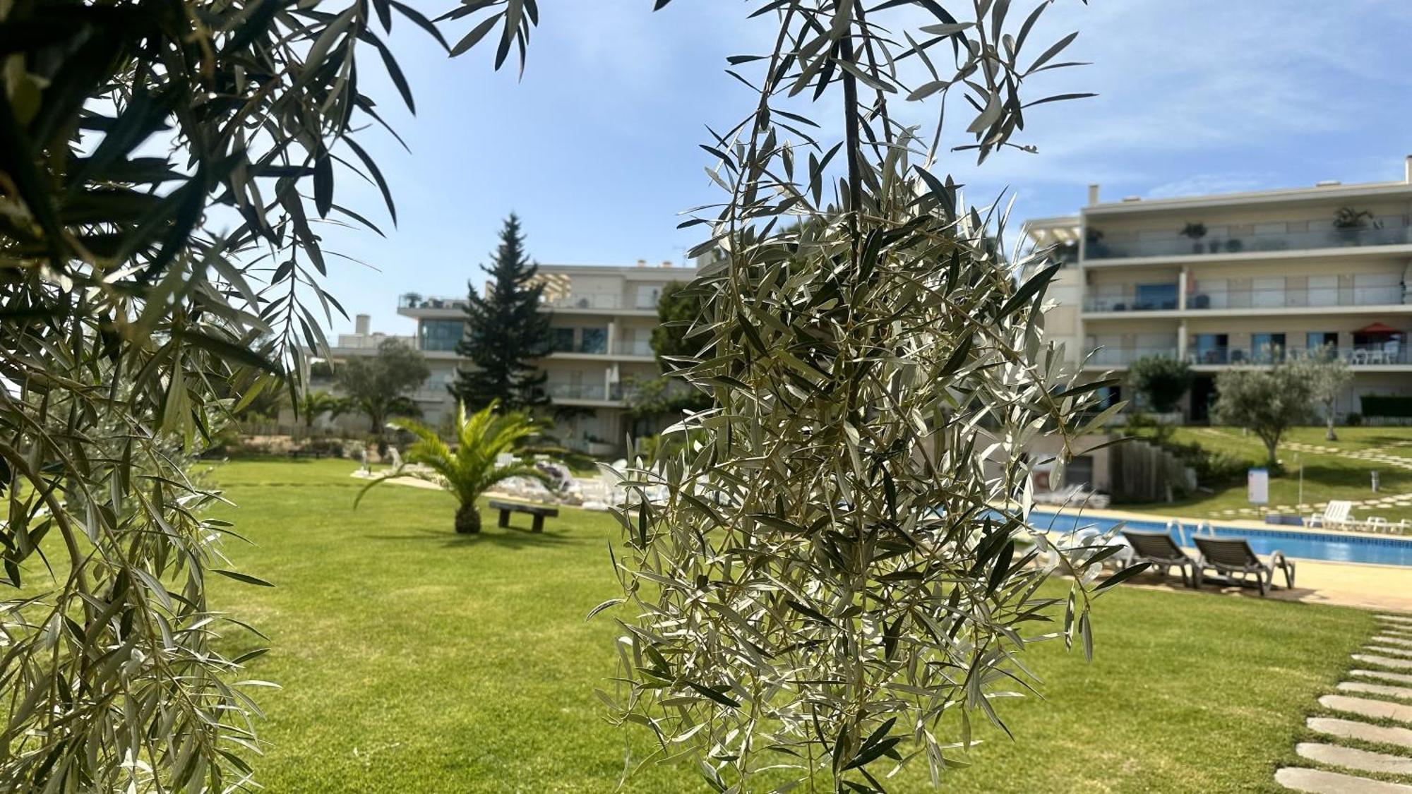 Charmant Appartement A 1Km De La Plage, Avec Piscine A Albufeira Eksteriør billede