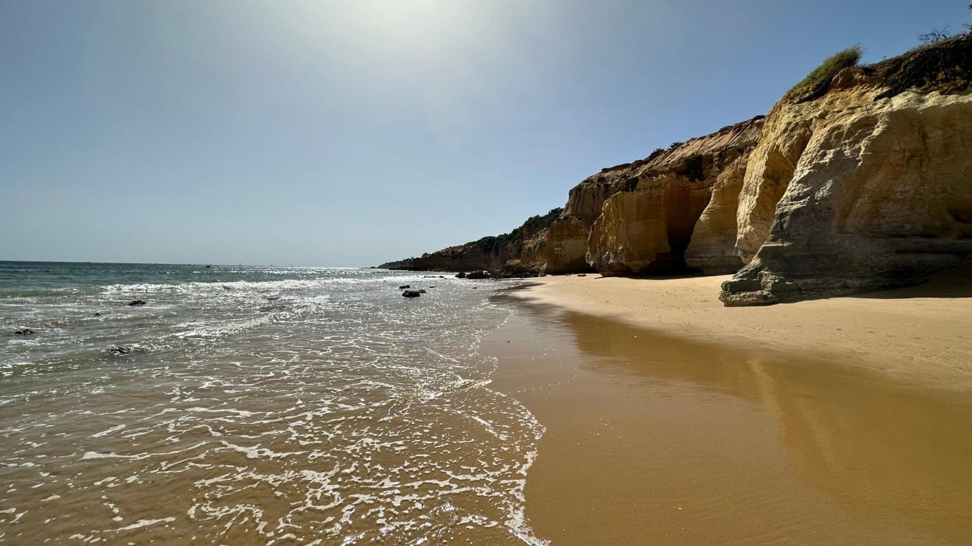 Charmant Appartement A 1Km De La Plage, Avec Piscine A Albufeira Eksteriør billede